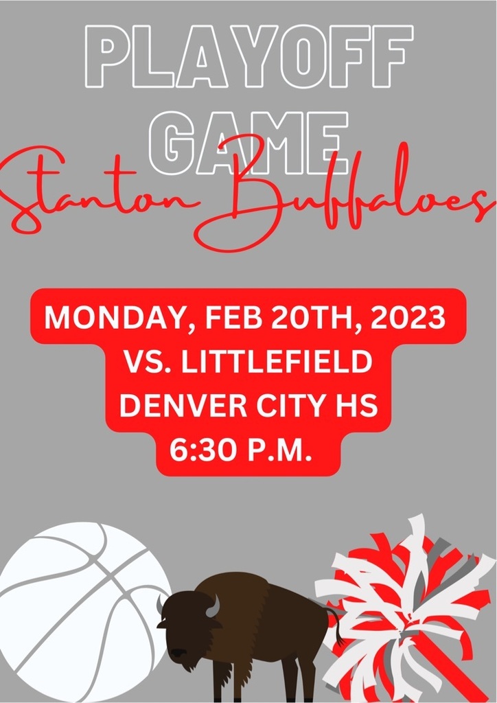 Buffalo Playoff Game!!! 